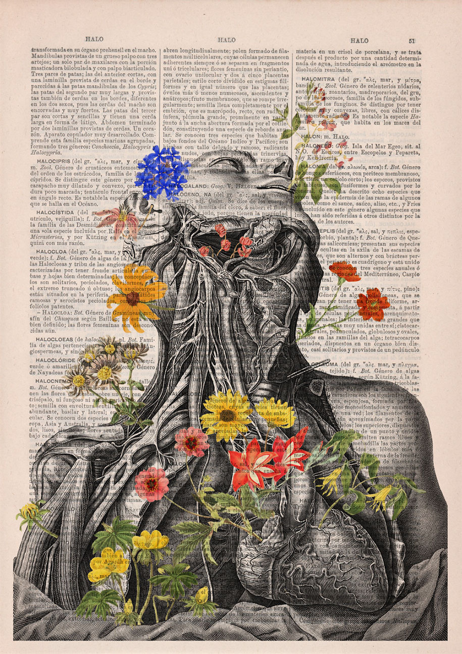 Floral Anatomy Illustrations On The Pages Of Old Books | DeMilked