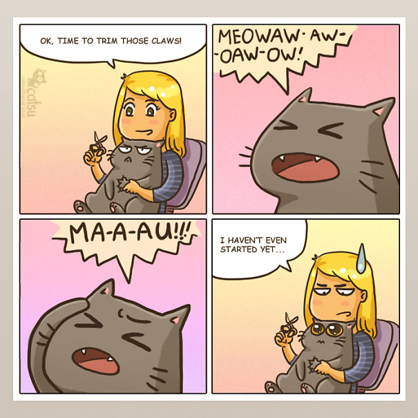 15 Comics Show Why It's Never Boring To Live With A Cat