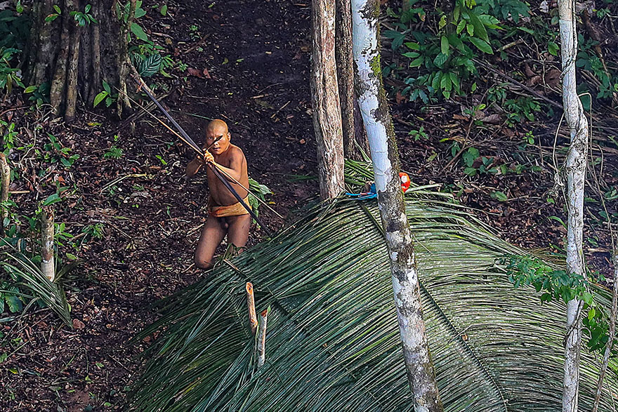 new tribe found amazon photos ricardo stuckert 1 - O fotógrafo brasileiro que acidentalmente documentou tribo isolada da Amazônia