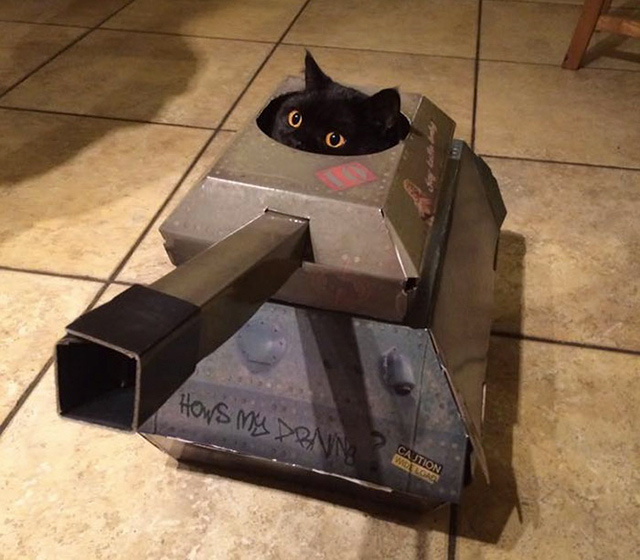 This Company Makes Hilarious Cardboard Tanks Planes And Houses For