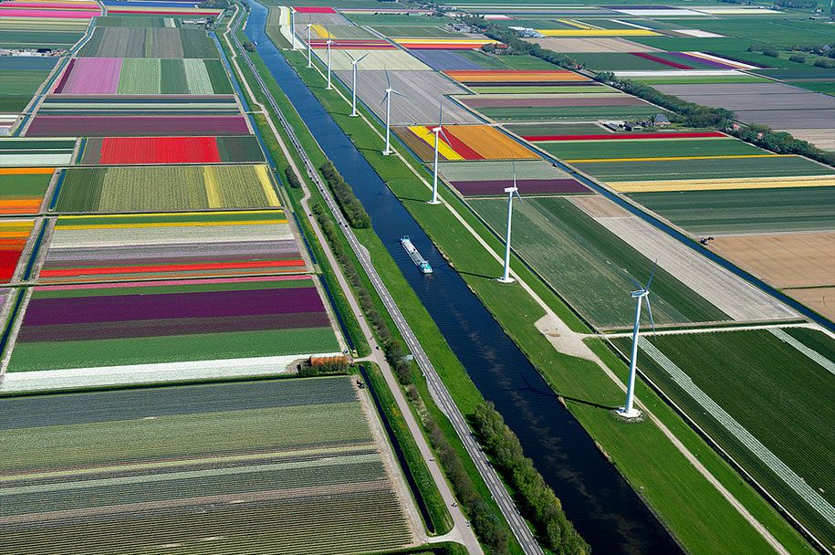 flower fields aerial photography netherlands normann szkop 10 - Show de cores nas fotos aéreas de tulipas holandesas