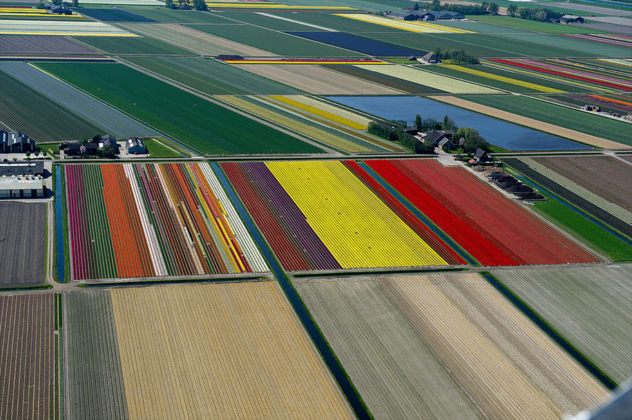 flower fields aerial photography netherlands normann szkop 21 - Show de cores nas fotos aéreas de tulipas holandesas