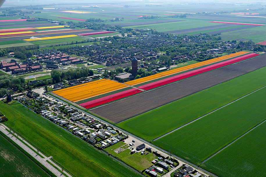 flower fields aerial photography netherlands normann szkop 27 - Show de cores nas fotos aéreas de tulipas holandesas