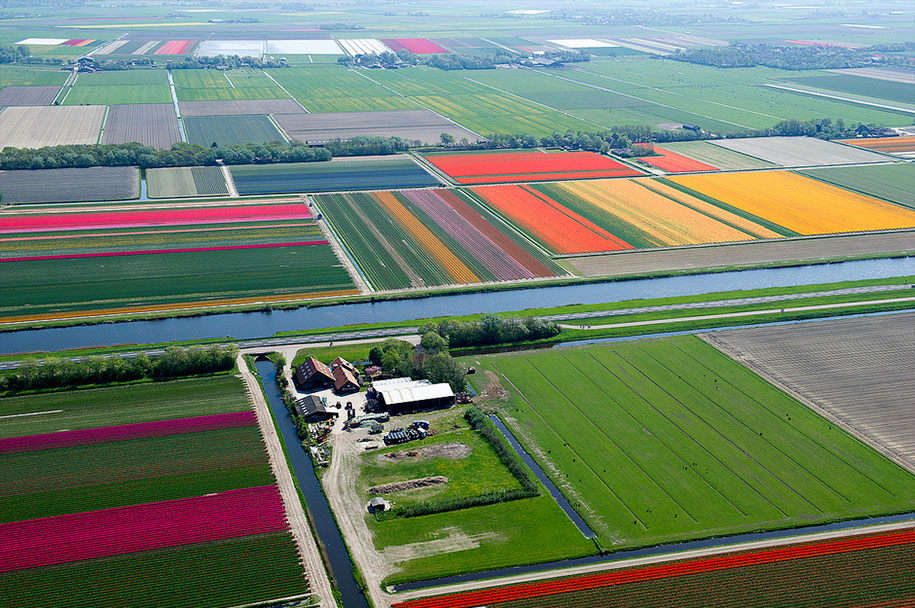 flower fields aerial photography netherlands normann szkop 52 - Show de cores nas fotos aéreas de tulipas holandesas