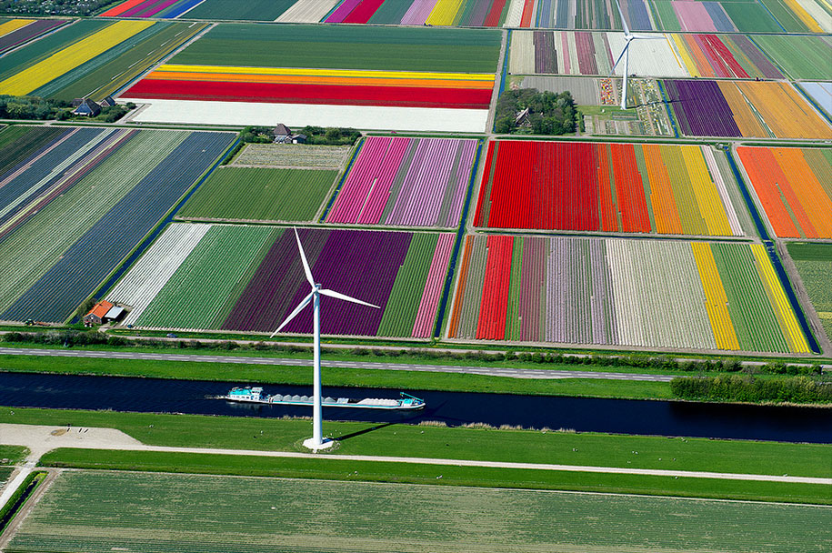 flower fields aerial photography netherlands normann szkop 53 - Show de cores nas fotos aéreas de tulipas holandesas