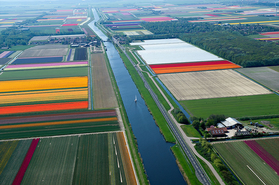 flower fields aerial photography netherlands normann szkop 55 - Show de cores nas fotos aéreas de tulipas holandesas