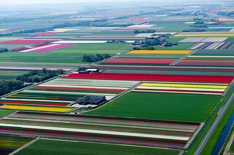 flower fields aerial photography netherlands normann szkop 57 - Show de cores nas fotos aéreas de tulipas holandesas
