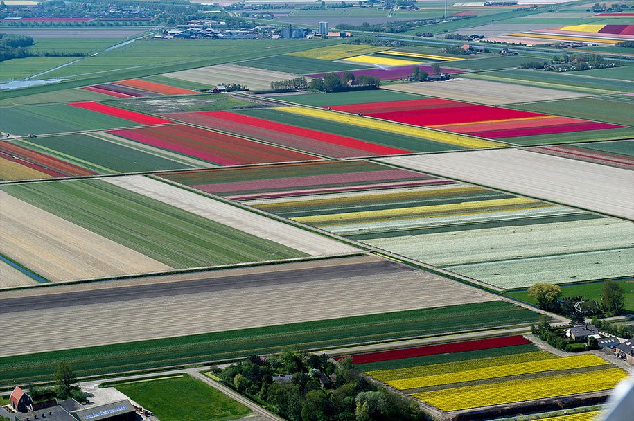 flower fields aerial photography netherlands normann szkop 60 - Show de cores nas fotos aéreas de tulipas holandesas
