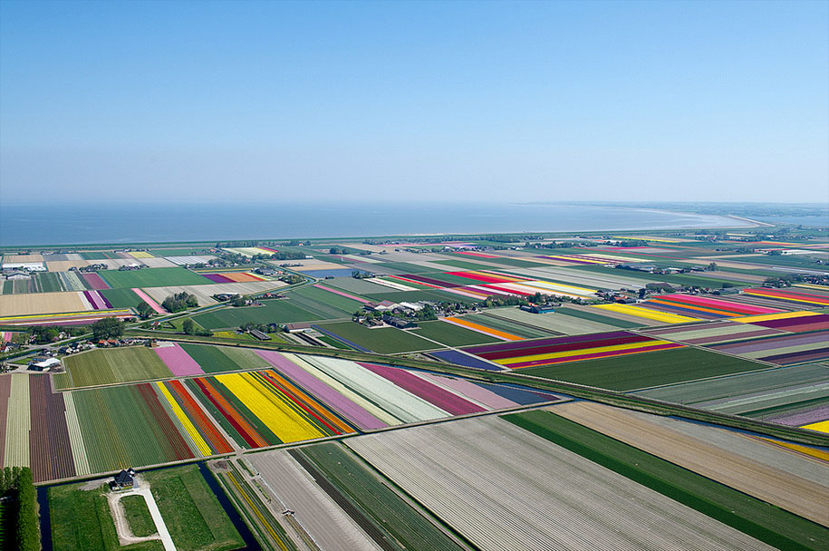 flower fields aerial photography netherlands normann szkop 62 - Show de cores nas fotos aéreas de tulipas holandesas