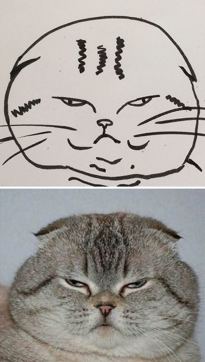 These Poorly Drawn Images Actually Look Like Real Cats And ...
