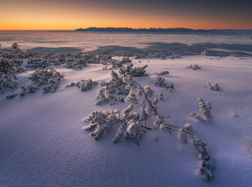 5a2e38432fe2d DSF1563aTIFF 5a15966061443  880 - Inverno no Leste Europeu: Fotógrafo captura a deslumbrante beleza da Polônia