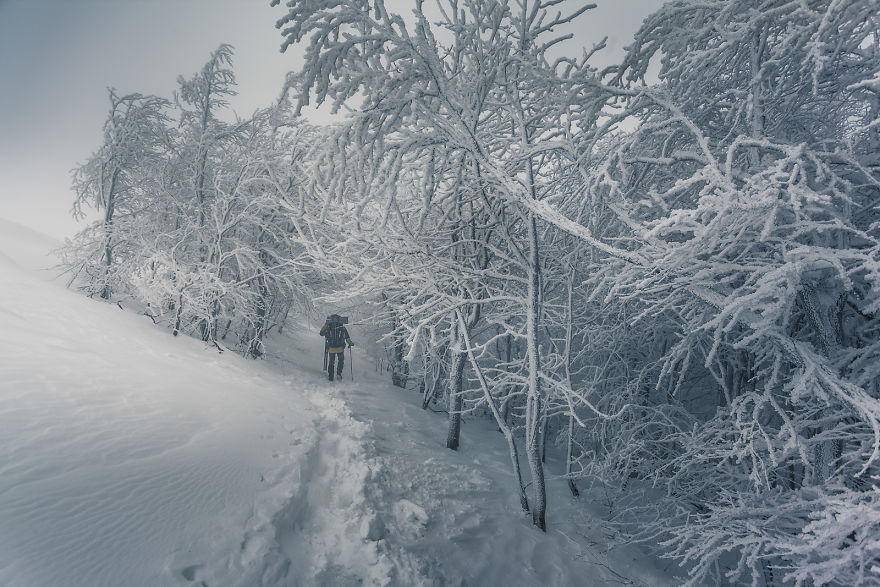 5a2e38437be05 IMG 6774aJPG 5a159688f0e3c  880 - Inverno no Leste Europeu: Fotógrafo captura a deslumbrante beleza da Polônia