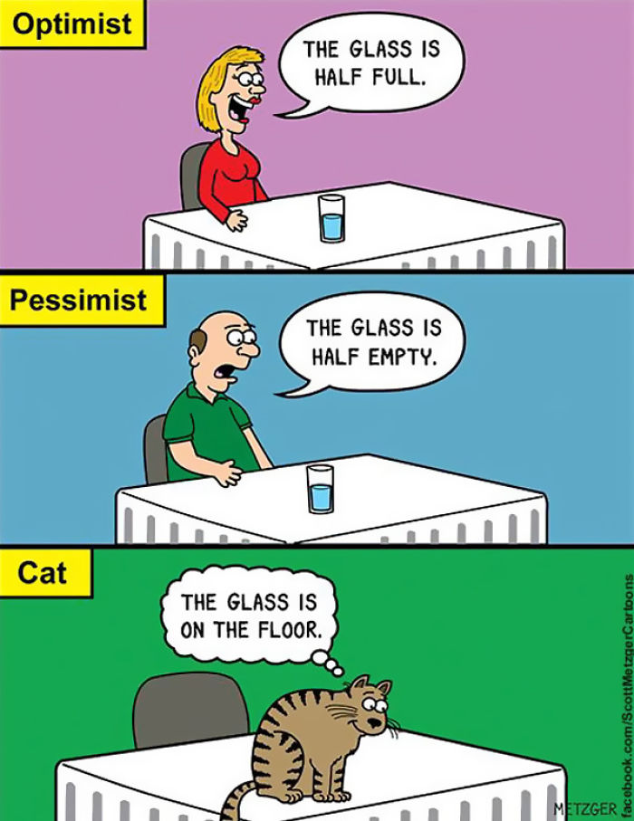 cat-comics