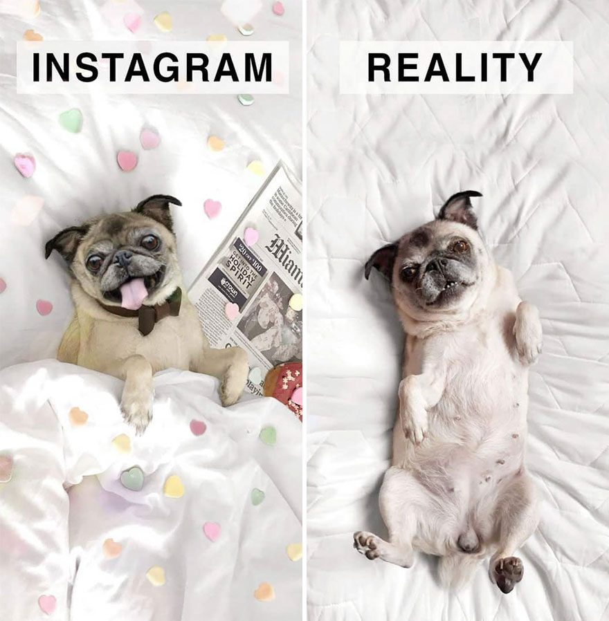 5b976d99c7766 German shows the reality of perfect instagram photos and the result is a lot of fun 5b8e340721d5f  880 - Instagram: Expectativa x Realidade