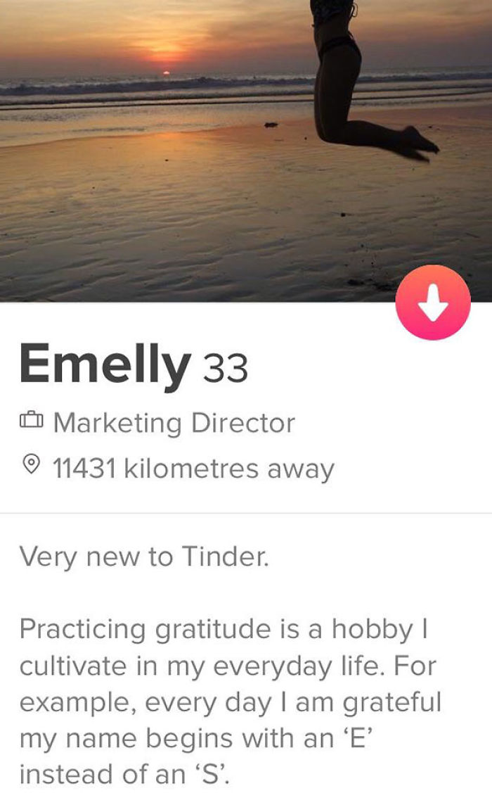 Tinder funny profile for catchprahses 30 Of