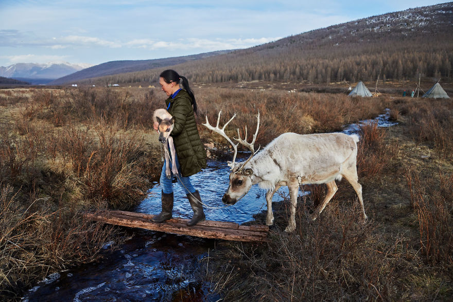 5dce5d2258265 x 5dc9de9f38224  880 - 40 fotografias de Steve McCurry que exploram a relação entre humanos e animais