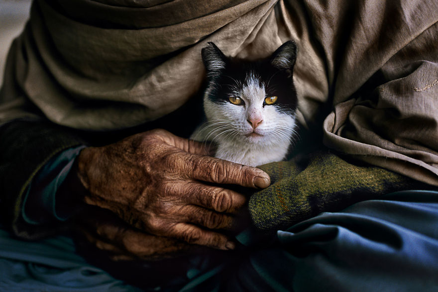 5dce5d235b1a7 AFGHN 12443 5dc9d15c0ec97 880 - 40 fotografias de Steve McCurry que exploram a relação entre humanos e animais