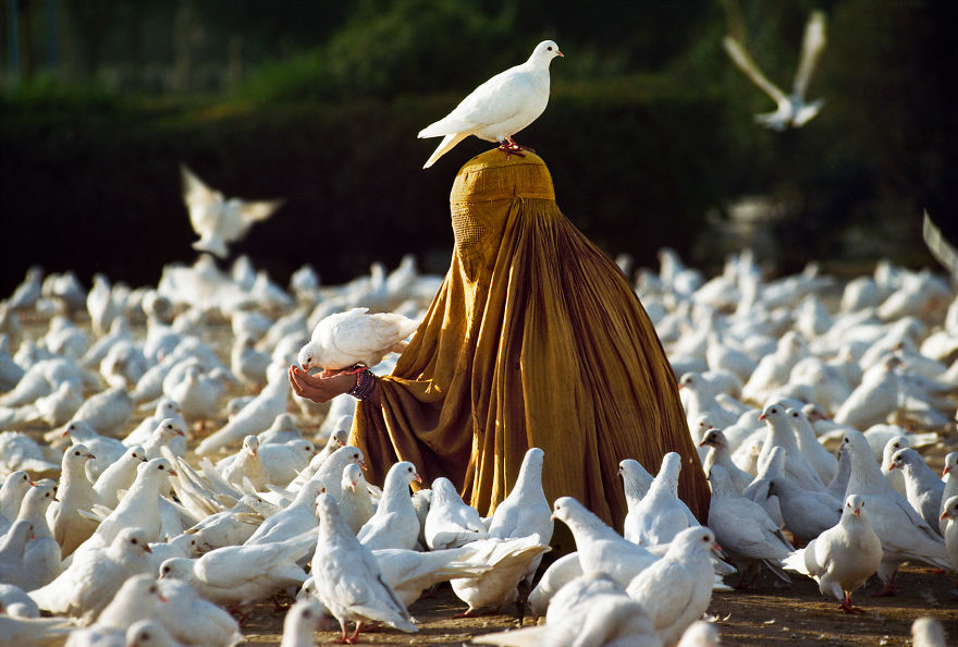 5dce5d23ce1e9 x 5dc9da76287ec 880 - 40 fotografias de Steve McCurry que exploram a relação entre humanos e animais