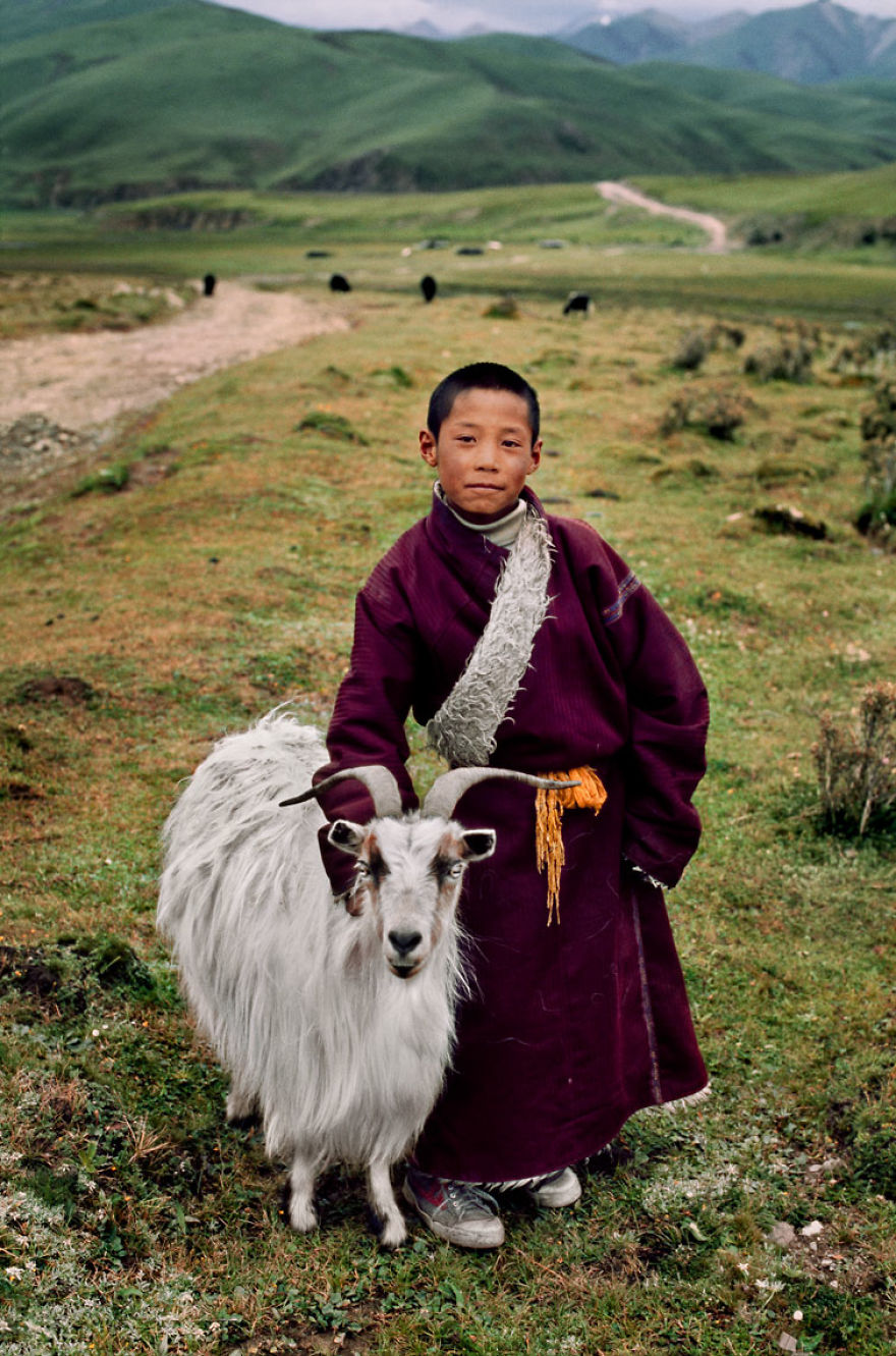5dce5d2442b2a x 5dc9d4f4407ce 880 - 40 fotografias de Steve McCurry que exploram a relação entre humanos e animais