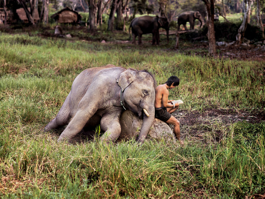 5dce5d255896b x 5dc9dc97eca63 880 - 40 fotografias de Steve McCurry que exploram a relação entre humanos e animais