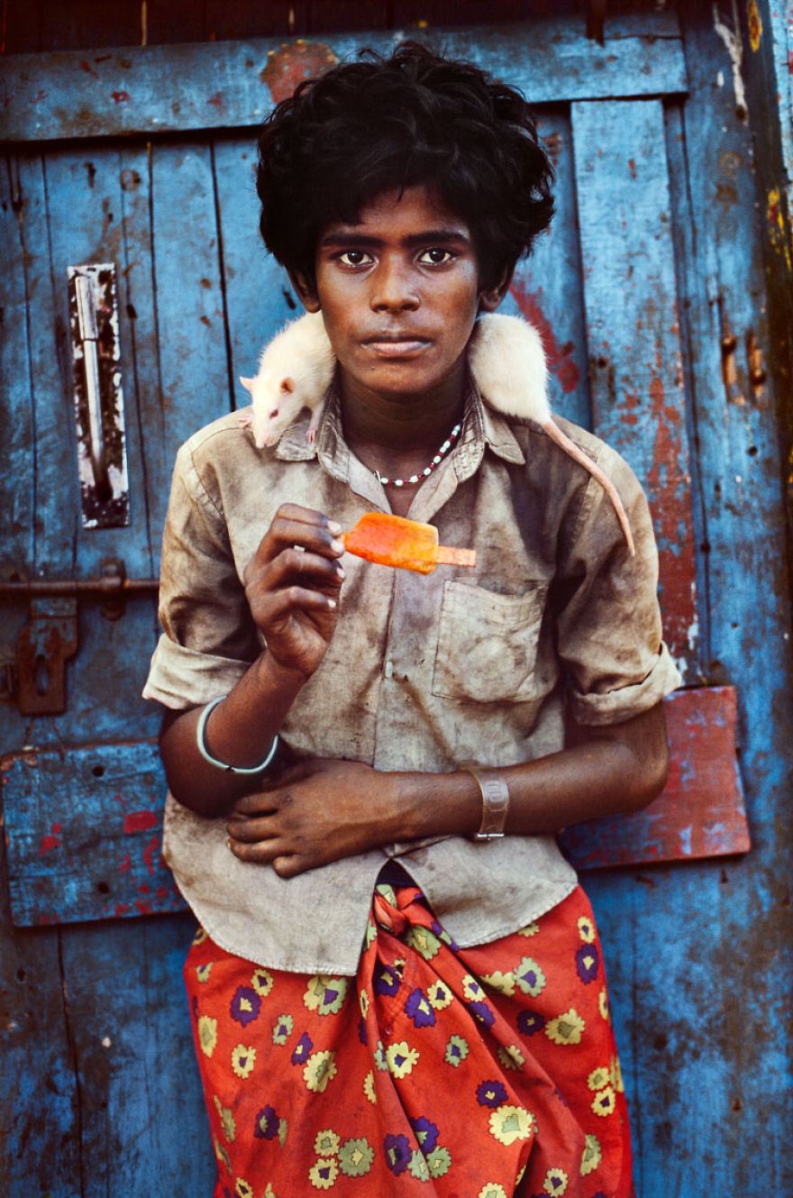 5dce5d2624aef x 5dc9d33431c3f 880 - 40 fotografias de Steve McCurry que exploram a relação entre humanos e animais