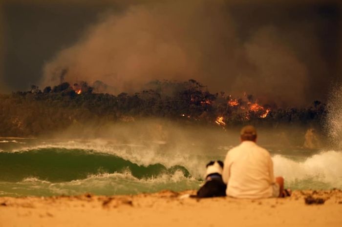 5e14430027cee 5e12de5196b2b 0z50n8fbir841  700 - Internet compatilha 50 fotos que revelam as queimadas na Austrália