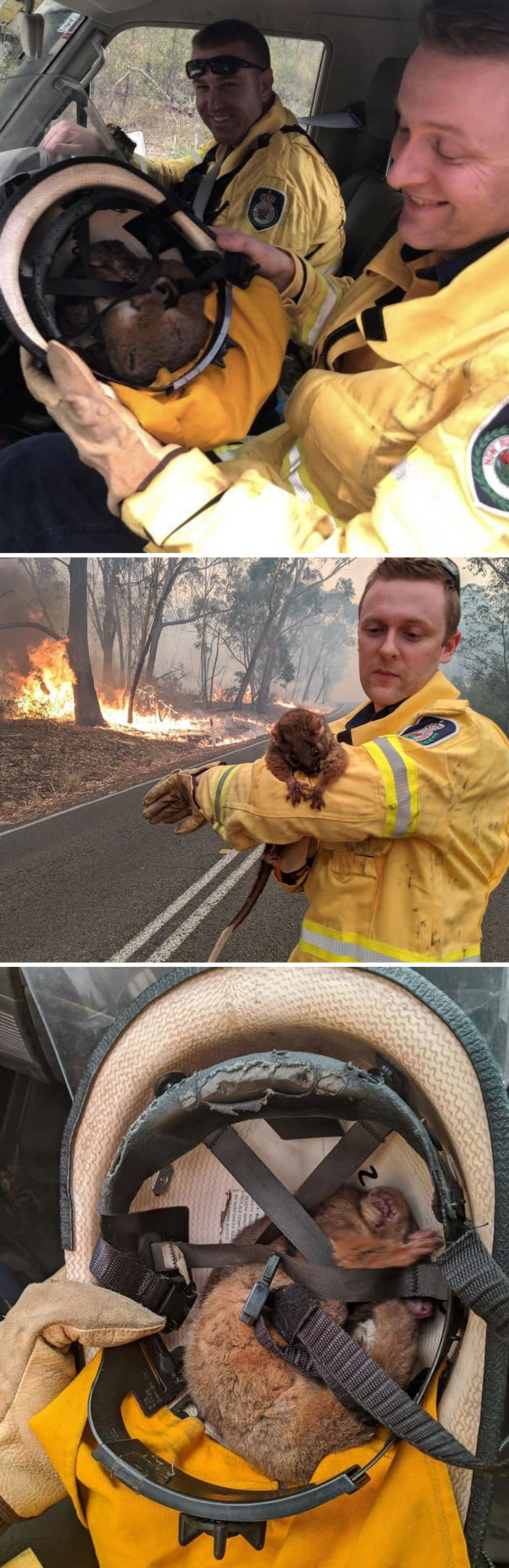 5e144300b1fa6 australia fires photos 29 5e13019aef27e  700 - Internet compatilha 50 fotos que revelam as queimadas na Austrália