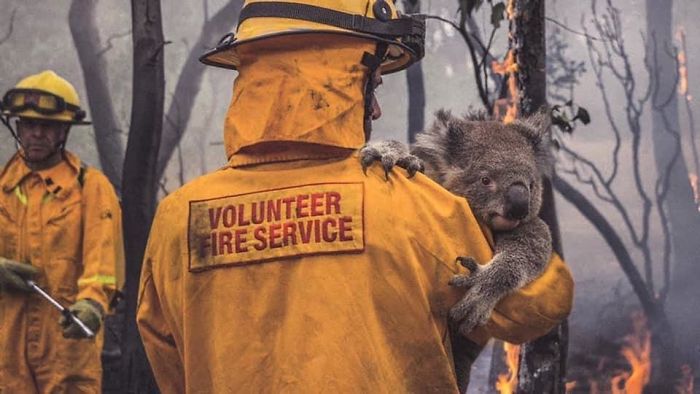 5e1443012c912 5e12f45cba5f1 gunk4ido62941  700 - Internet compatilha 50 fotos que revelam as queimadas na Austrália