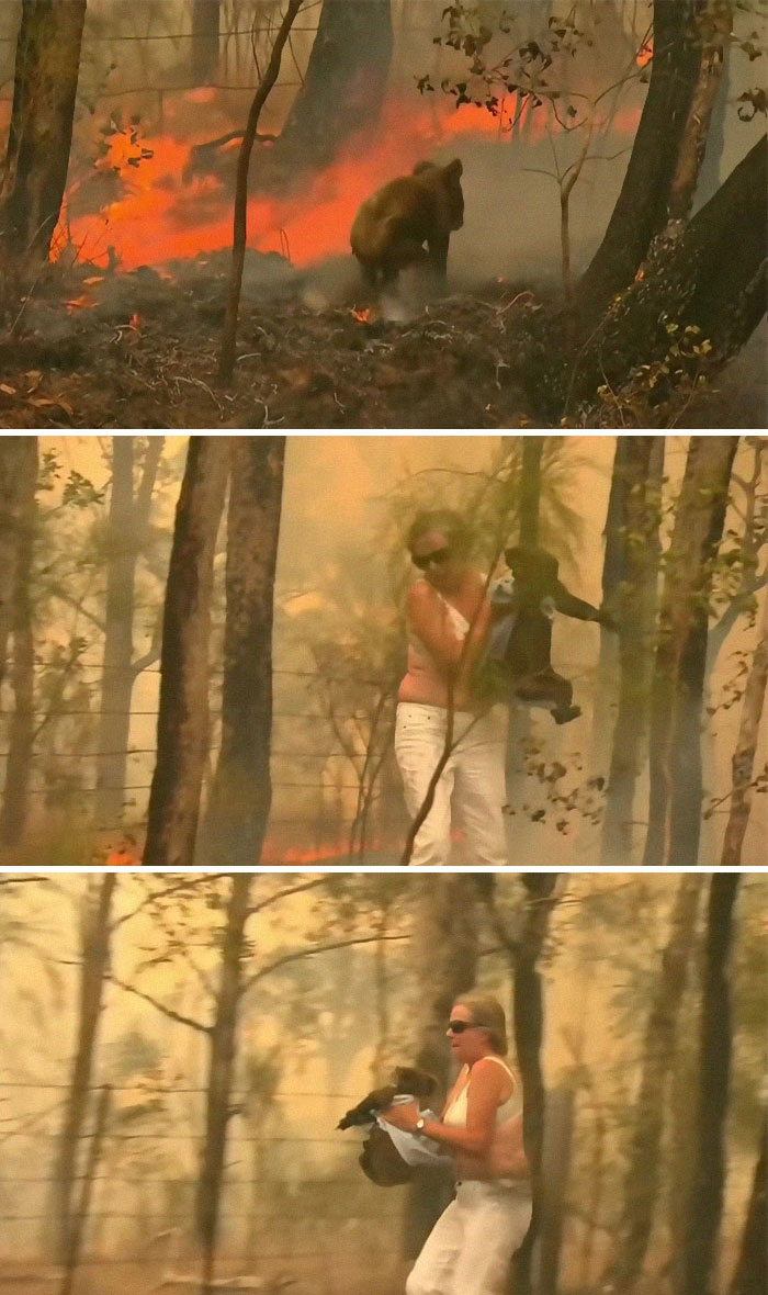 5e144301551e5 australia fires photos 27 5e12fbffd9ca8  700 - Internet compatilha 50 fotos que revelam as queimadas na Austrália