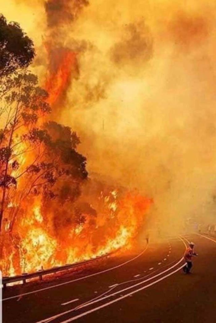 5e14430341947 5e12f3a7e4db6 294y3gv24y541  700 - Internet compatilha 50 fotos que revelam as queimadas na Austrália