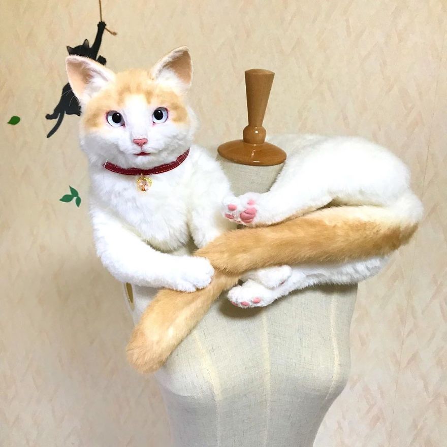 5e577ebc6a256 Japanese artist continues to create bags in the shape of cats and realism impresses 5e54cec2ed136  880 - Artista japonês cria Bolsas de gatos que assustam de tanta veracidade
