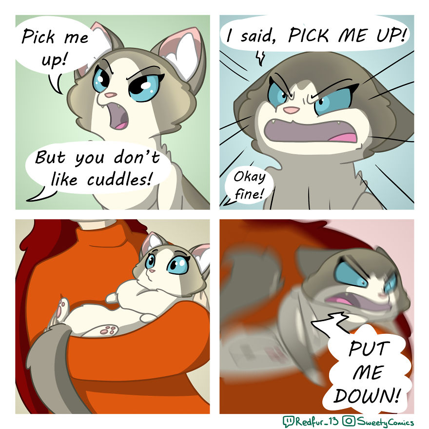 5ece154033f09 25 Stupid comics about my cat Sweety that I hope will brighten your day 5ec7c2ba89b7d png 880
