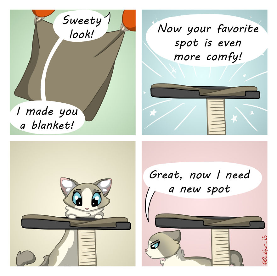 5ece1540b48dc 25 Stupid comics about my cat Sweety that I hope will brighten your day 5ec7bfd1ce41f png 880