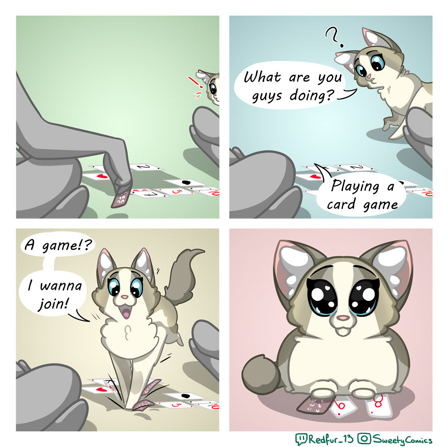 5ece1540d8208 25 Stupid comics about my cat Sweety that I hope will brighten your day 5ec7c4fda15c2 png 880