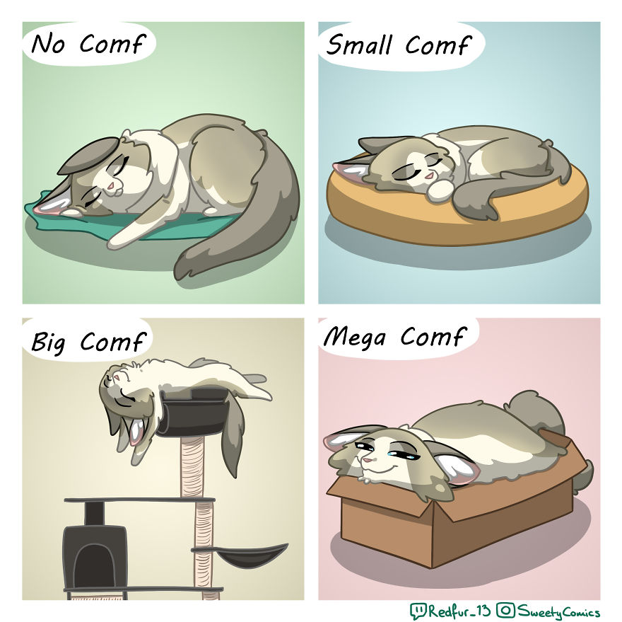 5ece15416edf1 25 Stupid comics about my cat Sweety that I hope will brighten your day 5ec7c2cb405e5 png 880