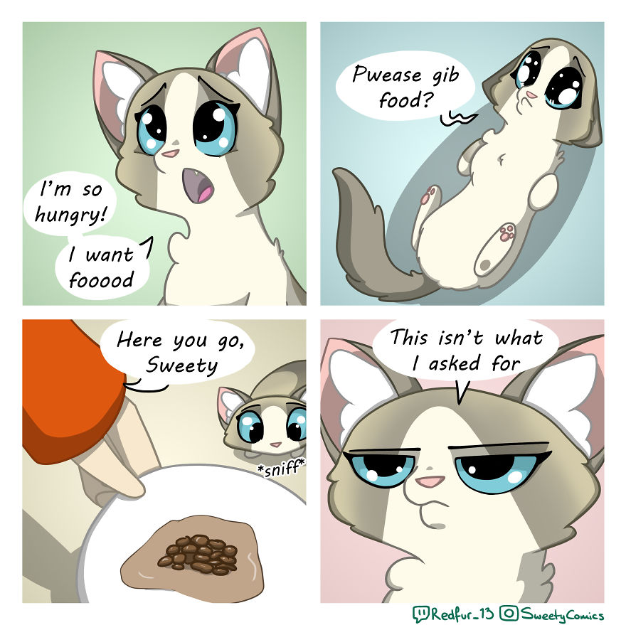 5ece154254d2a 25 Stupid comics about my cat Sweety that I hope will brighten your day 5ec7c2abb3fdf png 880