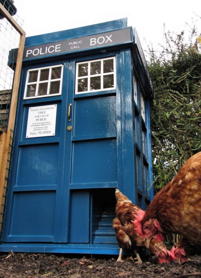 20 Creative Coops People Built For Their Chickens